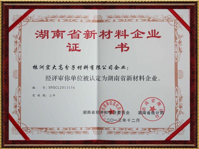 Hunan New Material Enterprise Certificate